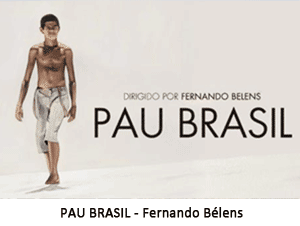 pau_brasil